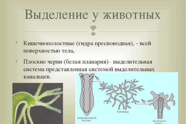 Сайт кракен тор