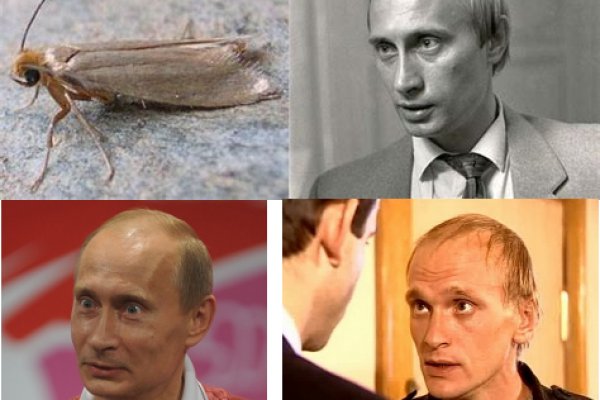 Кракен вход ссылка