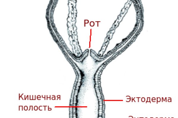 Kraken17 at сайт