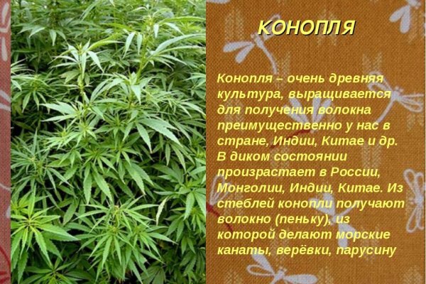 Kra50at