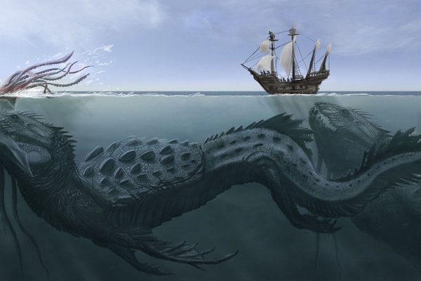 Kraken 20at